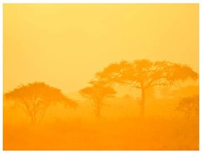 Fotomurale Orange savanna