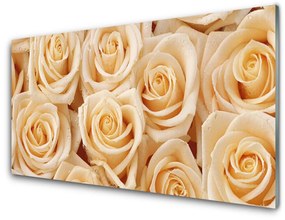 Quadro acrilico Rose, fiori, piante 100x50 cm