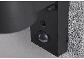 Paulmann 94714 - LED/6W IP44 Applique da esterno con sensore CAPERA 230V