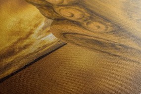 Quadro su tela – Dettaglio di Buddha