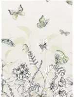 Designers Guild Carta da parati panoramica Papillons - Birch