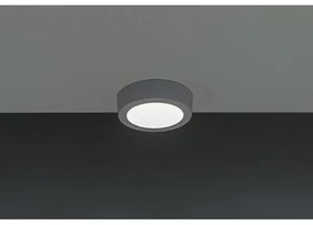 Plafoniera LED GERRIT LED/6W/230V 4,000K