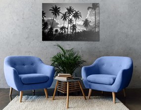 Stampa su tela – Palme di cocco sulla spiaggia in bianco e nero