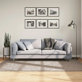 Tappeto Shaggy Pamplona A Pelo Lungo Moderno Beige 140x200 Cm /
