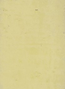 Terrastone Rustique floor - 15kg - 91 - Vanillegelb