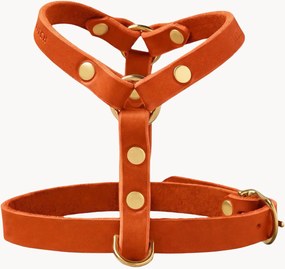 Imbracatura per cani in pelle Y-Harness, varie misure