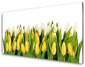 Pannello paraschizzi cucina Tulipani, fiori, piante 140x70 cm