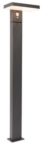 Lampada da terra per esterni in grigio scuro 80 cm con LED e luce dimmerabile a energia solare - Sunnie
