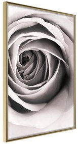 Poster  Structure of Petals  Cornice Quadri Cornice d'oro, Larghezza x Altezza Home decor 20x30