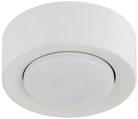 Argon 8915 - Plafoniera da soffitto ELORA 1xGX53/7W/230V Ø 11 cm bianca