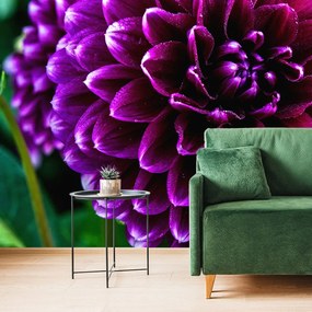 Carta da parati – Splendido fiore viola