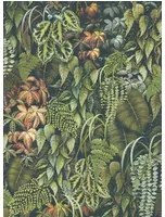 Osborne & Little Carta da parati Green Wall - Olive
