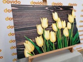 Quadro su tela – Incantevoli tulipani gialli su sfondo di legno
