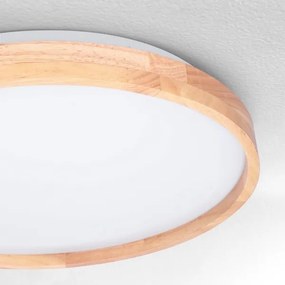 Brilagi - Plafoniera LED dimmerabile ALSON LED/48W/230V 3000-6500K + DO