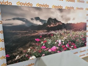 Quadro su tela – Prato di fiori in fiore