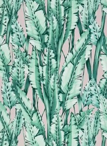 Blätter Tapete Tiger Leaf von Osborne & Little - Mint/ Blush
