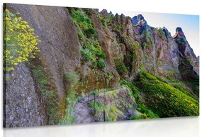 Quadro su tela – Sentiero turistico stretto