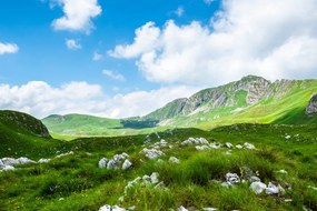 Stampa su tela – Valle in Montenegro