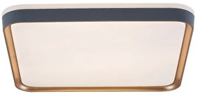 Rabalux 71029 - Plafoniera LED LIATRIS LED/26W/230V 3000K