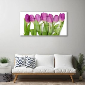 Quadro acrilico Tulipani, fiori, piante 100x50 cm