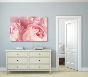 Stampa su tela – Petali di fiore