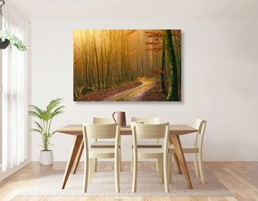 Stampa su tela – Sentiero nella foresta