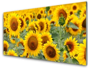 Etichette Per Piante In Acrilico Ovale - Personalizzate Con Nome A Scelta, Incolori, Resistenti Agli Agenti Atmosferici, Altezza 15,5 Cm - 5