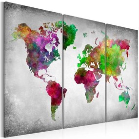 Quadro Varietà del mondo  Colore Grigio, Dimensioni e Misure 120x80