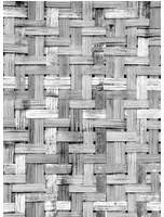 Coordonne Carta da parati panoramica Palm Tree Frame - Grey