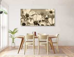 Stampa su tela – Fiori da giardino in versione seppia