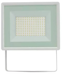 Proiettore 100W, IK7, IP65 B. NATURALE Colore  Bianco Naturale 4.000K