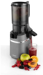 Concept LO7120 - Spremiagrumi lento JUICY 250W/230V grigio