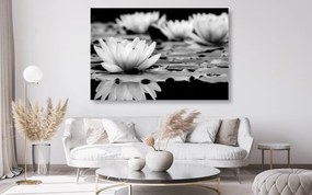 Stampa su tela – Fiore di loto in bianco e nero