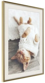 Poster  Kitten Life  Cornice Quadri Cornice d'oro con passe-partout, Larghezza x Altezza Home decor 20x30