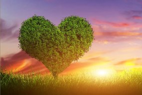 Carta da parati – Albero a forma di cuore