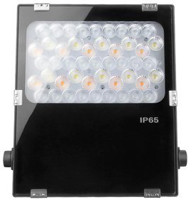 Proiettore LED 50W RGB+CCT IP66 Angolo 25° Dimmerabile - 2.4GHz Colore RGB+CCT