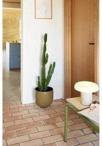 Panchina grigio-verde Koi - Hübsch