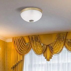 Rabalux 8558 - Plafoniera ORCHIDEA 2xE27/60W/230V