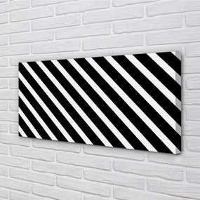 Quadro su tela Strisce zebra 100x50 cm