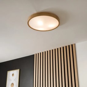 Brilagi - Lampada LED da soffitto CARVALHO SLIM 3xE27/60W/230V rovere Ø47 cm
