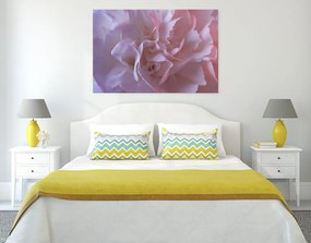 Quadro su tela – Petali di garofano