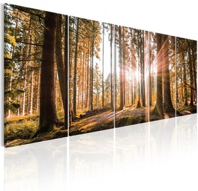 Quadro Beauty of Nature  Colore Marrone, Dimensioni e Misure 225x90