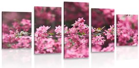 Quadri 5 pezzi – Fiore di ciliegio dettagliato