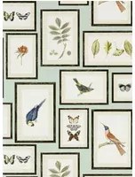 Sanderson Carta da parati Picture Gallery - Aqua/ Multi