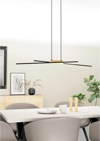 Eglo 900489 - Lampadario a sospensione con filo LED dimmerabile PANAGRIA 2xLED/13W/230V