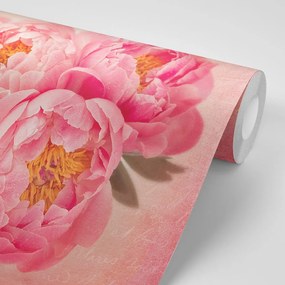 Carta da parati – Peonia delicata