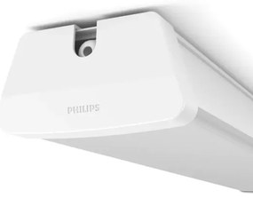 Philips 31247/31/P0 - Lampada LED tecnica fluorescente AQUALINE LED/50W/230V IP65