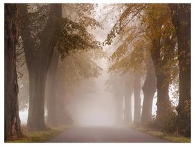 Fotomurale Vicolo cieco nebbioso