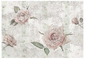 Fotomurale KOMAR Tantinet, multicolor 368X248 cm