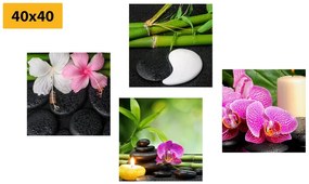 Set di quadri – Natura morta Feng Shui